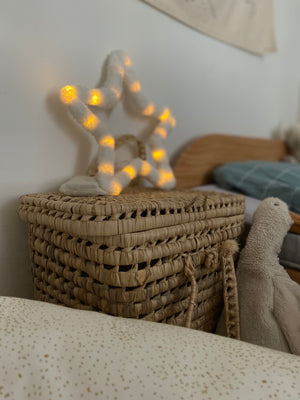 Étoile yéti Lumineuse ( délai de réalisation début octobre)